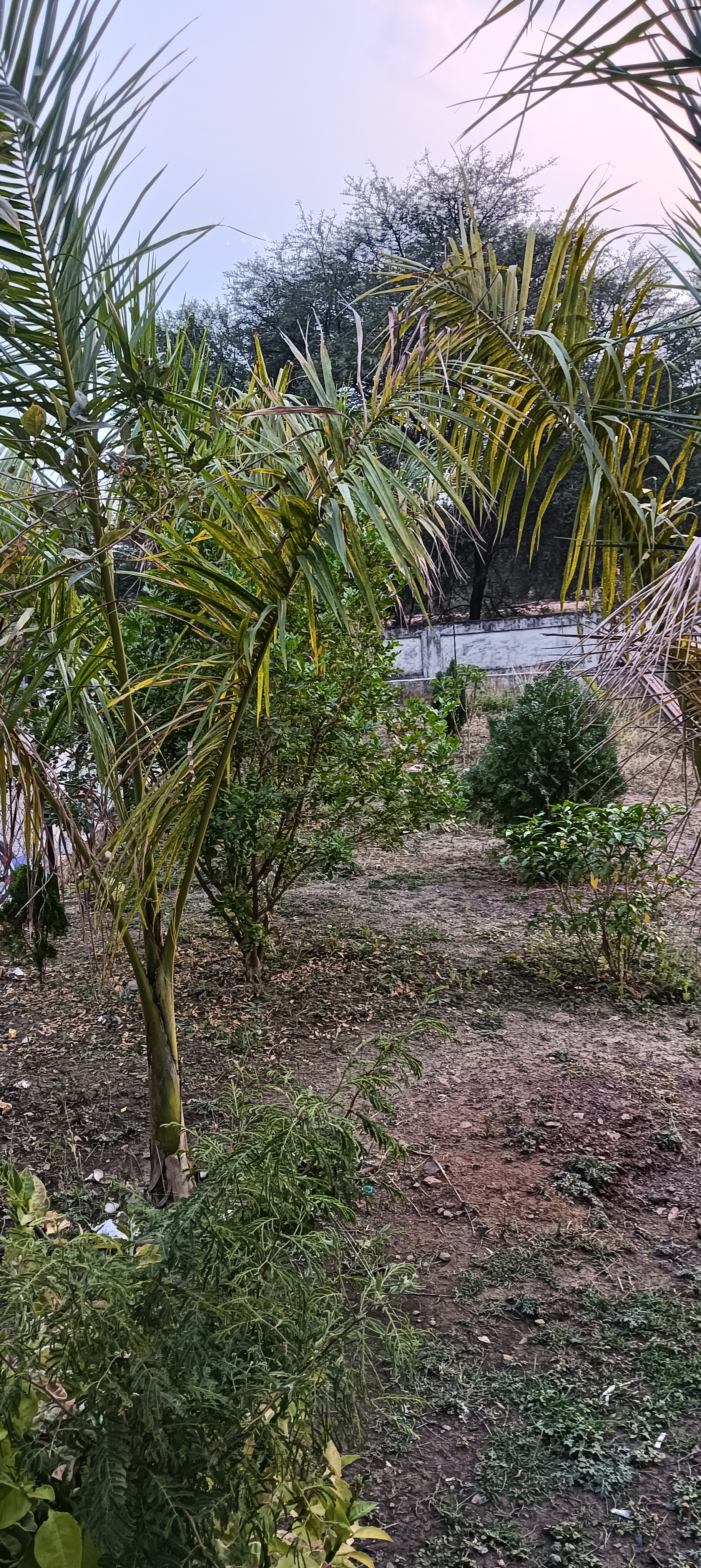 Hindustan Petroleum Corporation Limited - Simariya, Panna