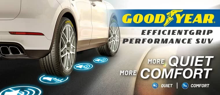 Goodyear India
